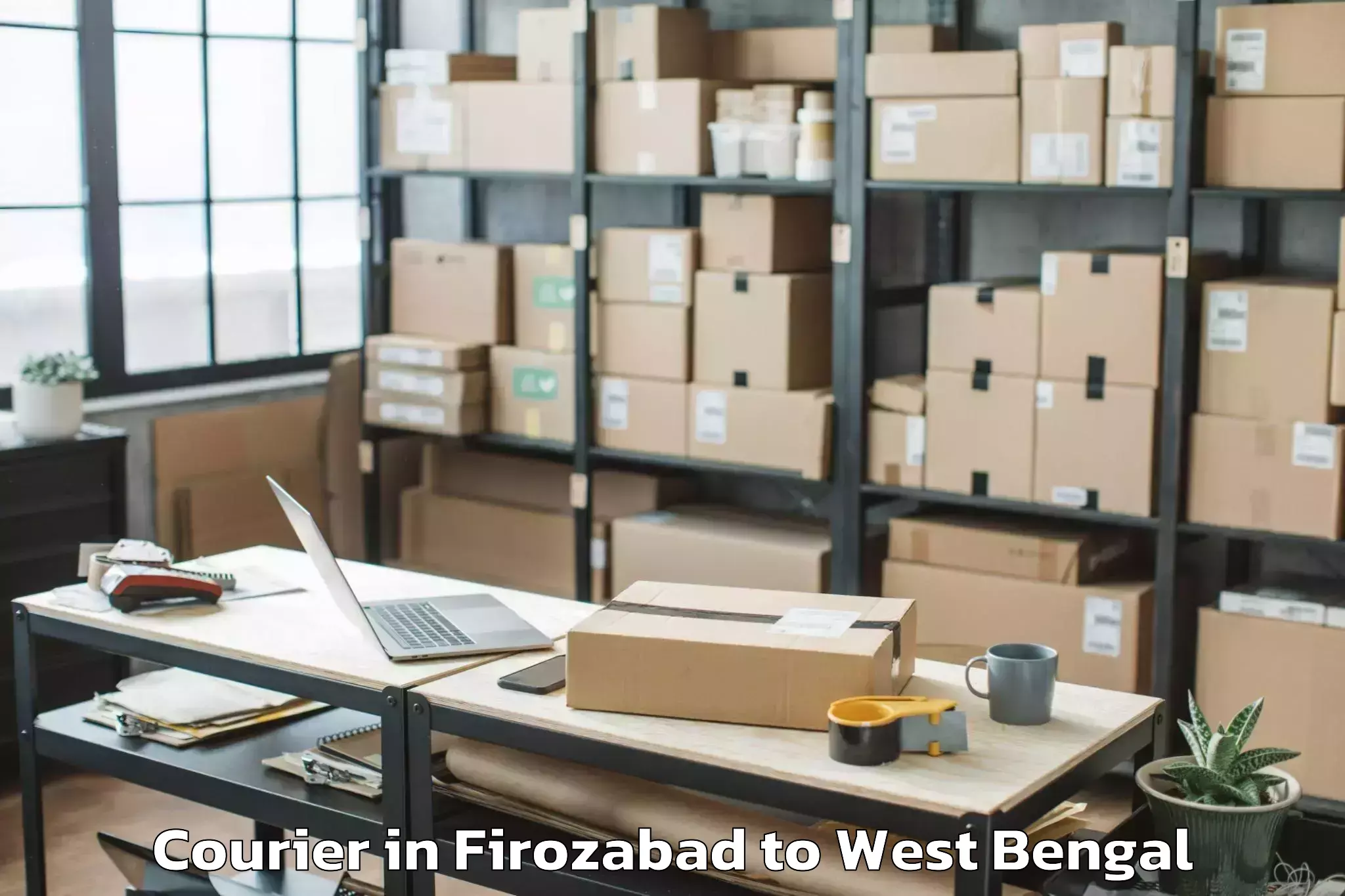 Hassle-Free Firozabad to Raidighi Courier